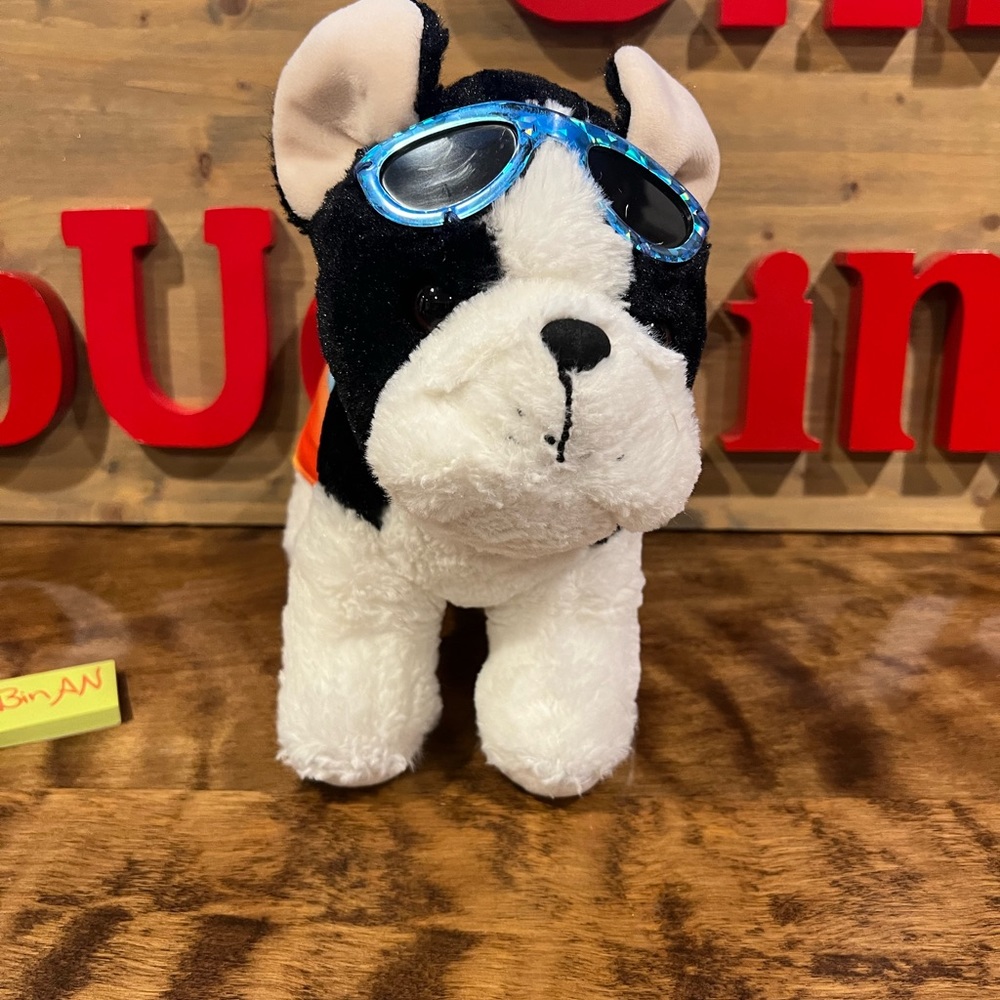 5/$20 beach Boston terrier